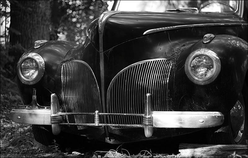 IMAGE: http://i240.photobucket.com/albums/ff80/killerblackbird/03BW.jpg