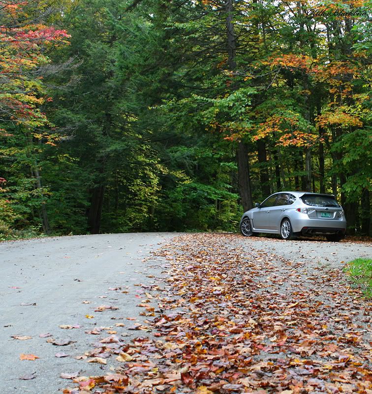 IMAGE: http://i240.photobucket.com/albums/ff80/killerblackbird/04-19.jpg