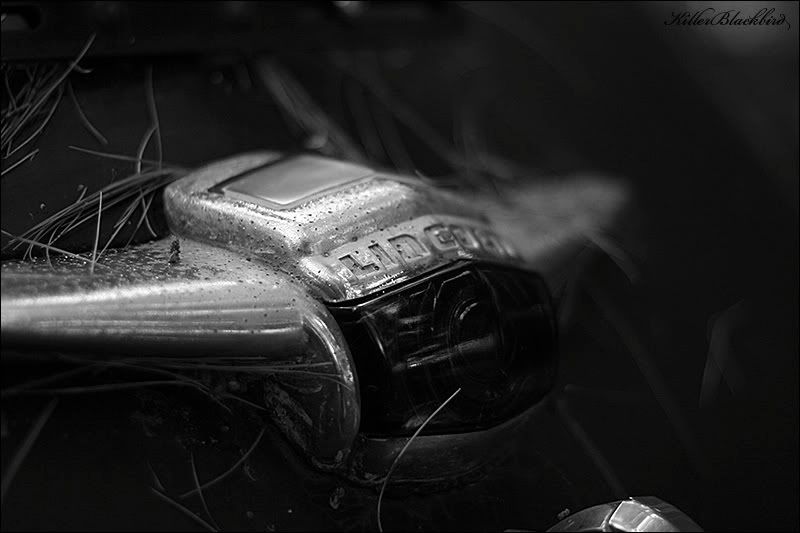 IMAGE: http://i240.photobucket.com/albums/ff80/killerblackbird/06BW.jpg