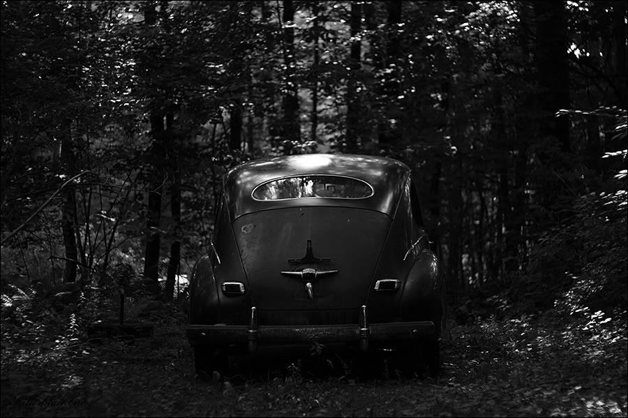 IMAGE: http://i240.photobucket.com/albums/ff80/killerblackbird/07BW.jpg