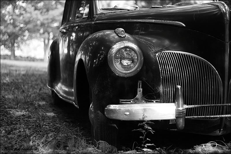 IMAGE: http://i240.photobucket.com/albums/ff80/killerblackbird/08-7.jpg