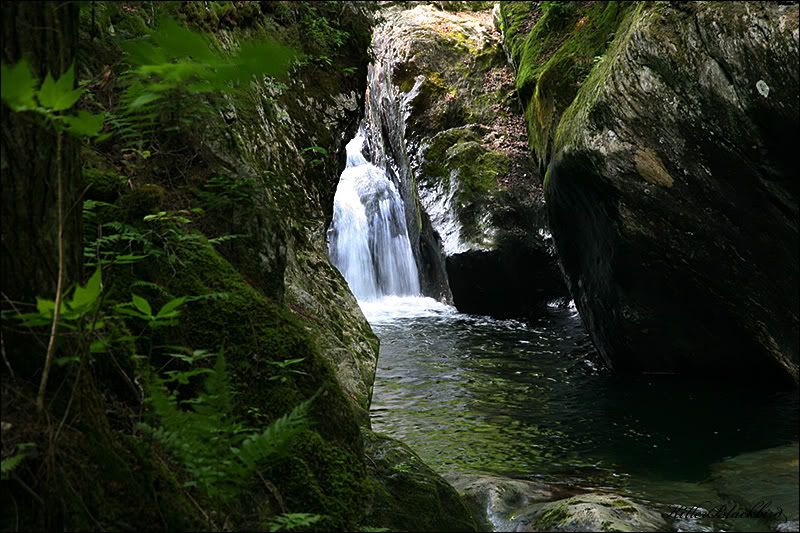 IMAGE: http://i240.photobucket.com/albums/ff80/killerblackbird/18-13.jpg