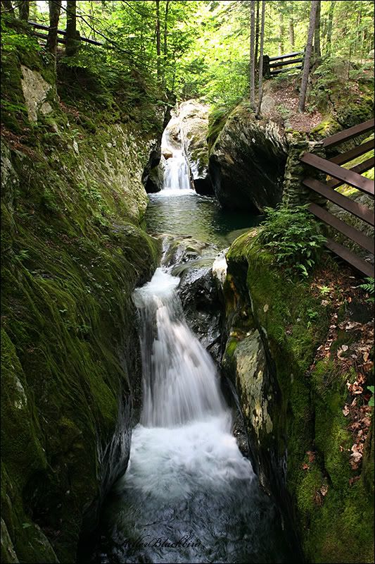 IMAGE: http://i240.photobucket.com/albums/ff80/killerblackbird/2-52.jpg