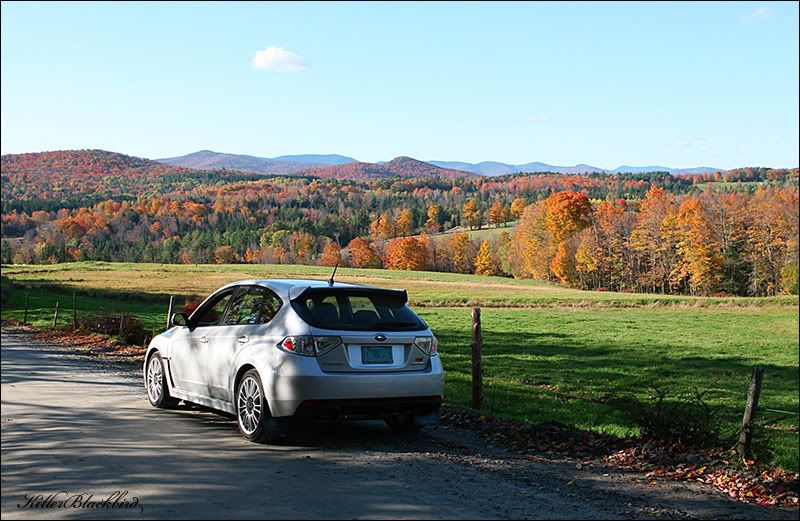 IMAGE: http://i240.photobucket.com/albums/ff80/killerblackbird/4-90.jpg