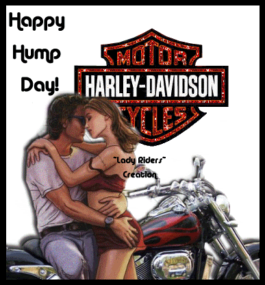 harley happy humpday 9 Pictures, Images and Photos