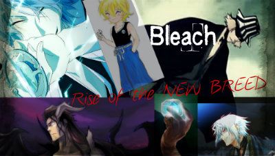 Bleach: Rise of the New Breed banner