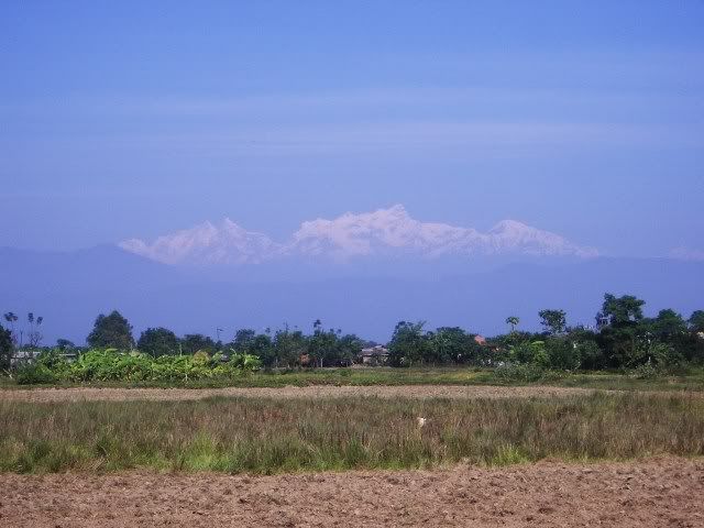 1f15d3f9.jpg