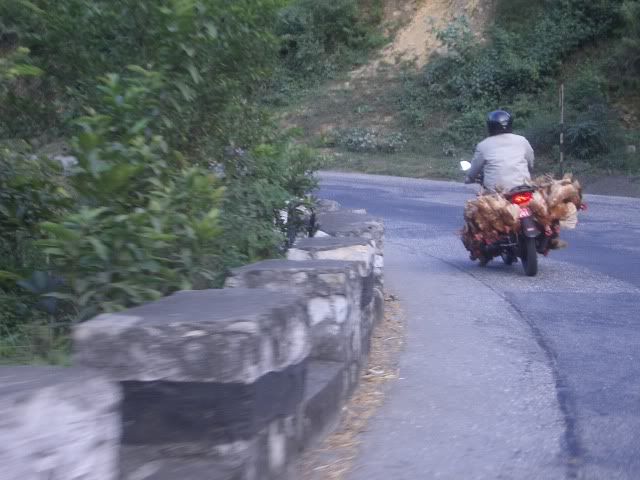 74d333ef.jpg