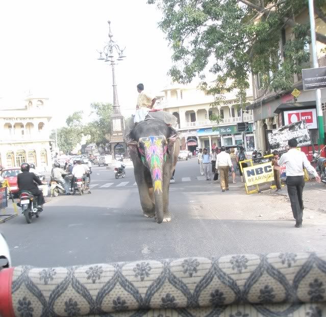 nindia10.jpg