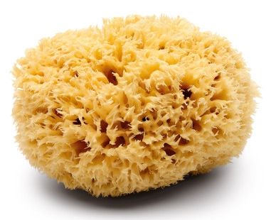 natural-sea-sponge_zps6a02dd1f.jpg