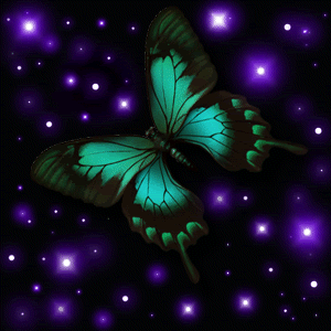 purple_green butterflies