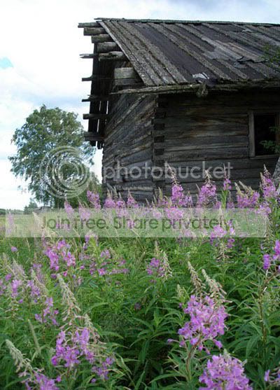 Photobucket - Video and Image Hosting