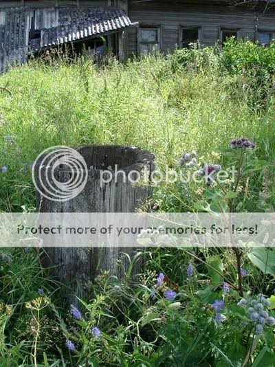 Photobucket - Video and Image Hosting