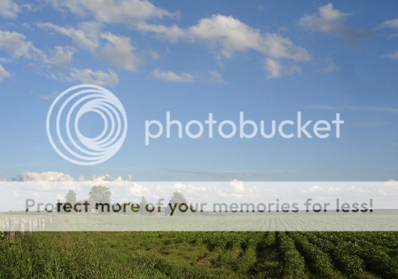 Photobucket - Video and Image Hosting