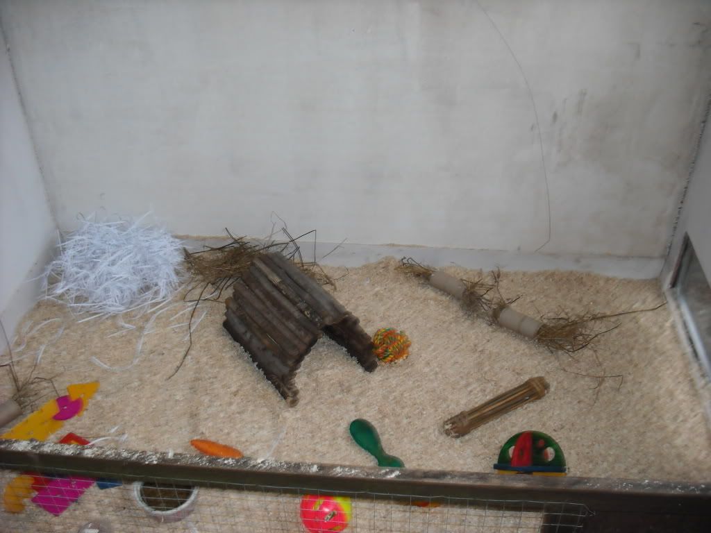 DSCF0071.jpg