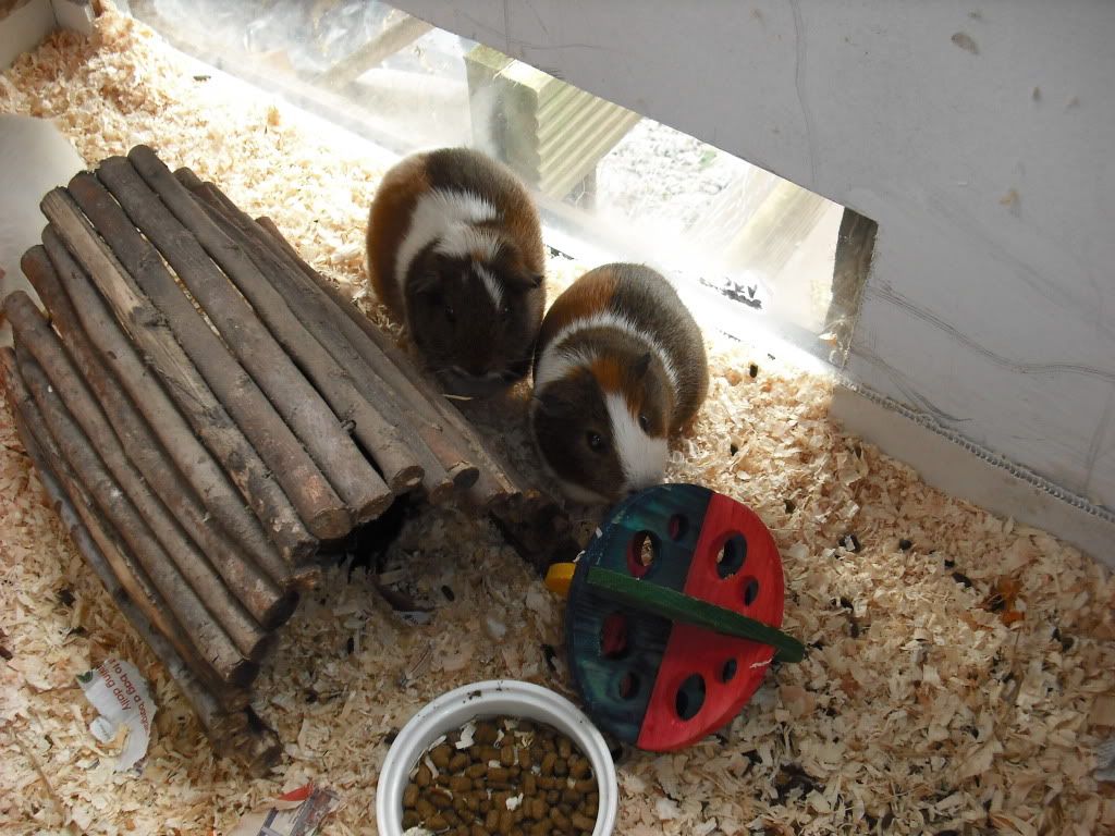 DSCF0215.jpg