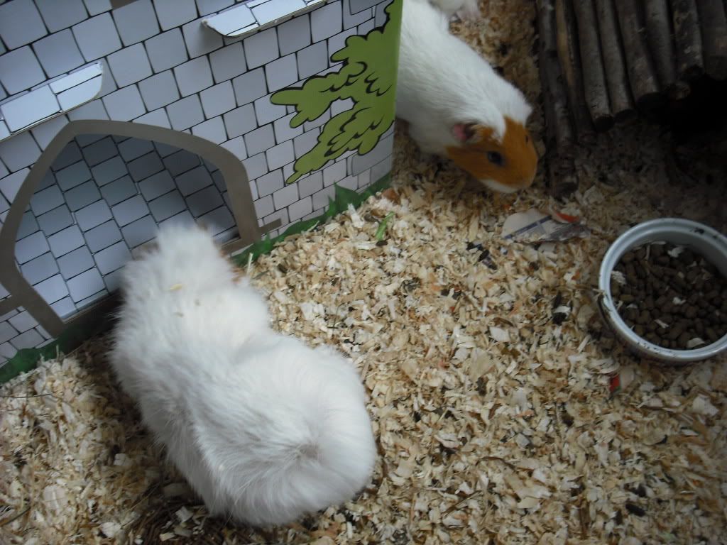 DSCF0216.jpg