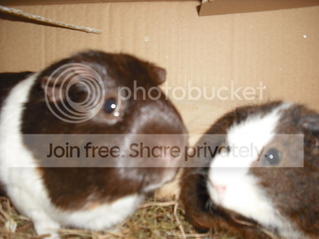 DSCF1044.jpg