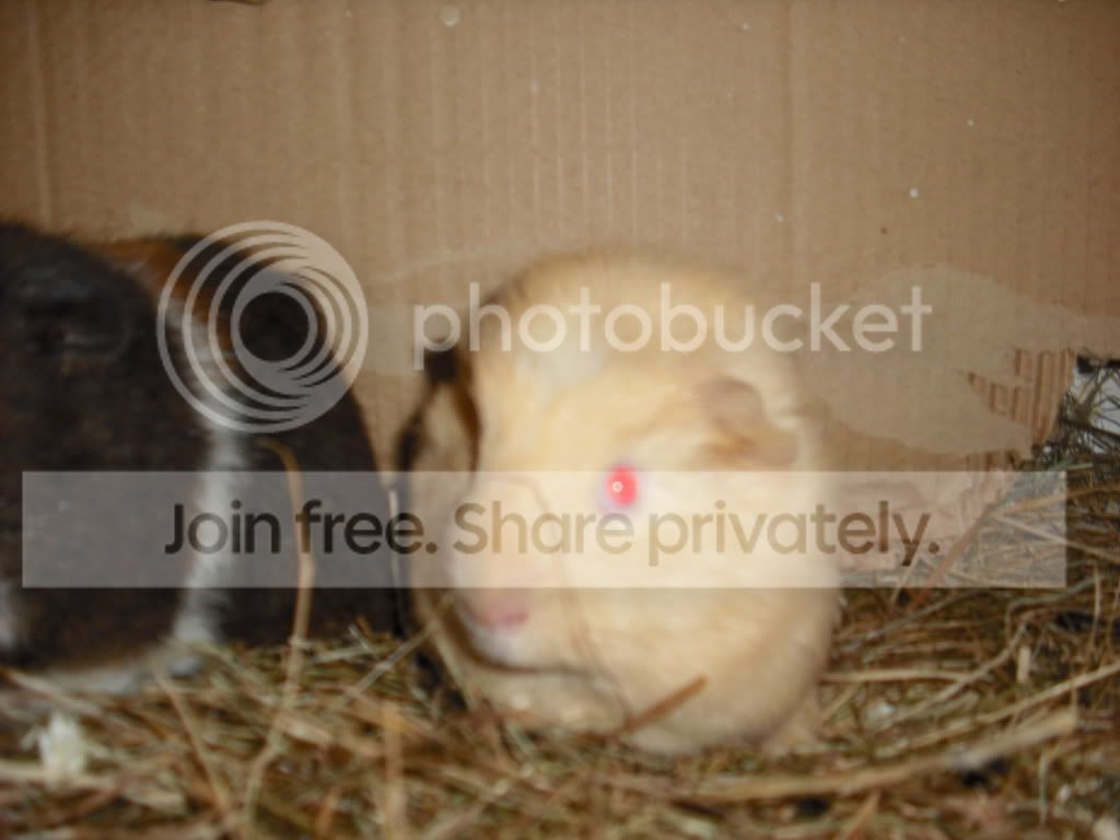 DSCF1049.jpg