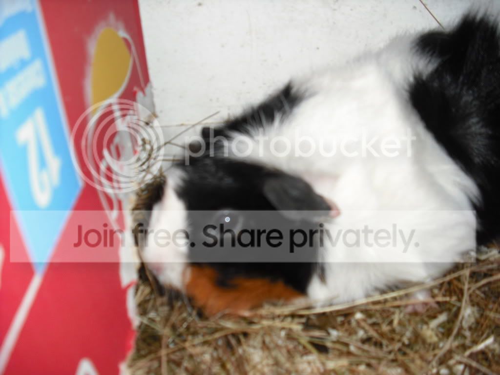 DSCF1050.jpg