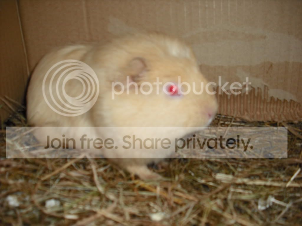 DSCF1052.jpg