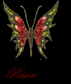 poison butterfly