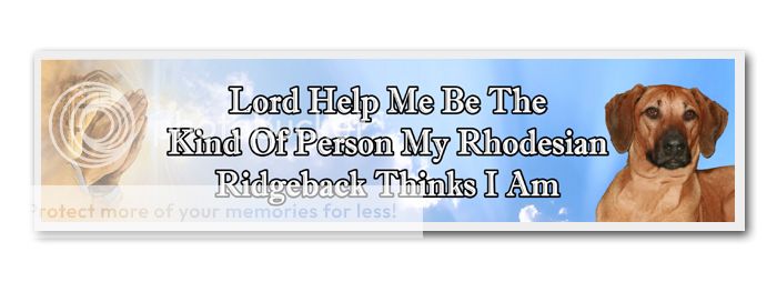 RHODESIAN RIDGEBACK Lord Help Me Be LAMINATED BOOKMARK  