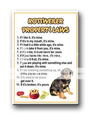 ROTTWEILER Property Laws FRIDGE MAGNET No 1 DOG ROTTIE  