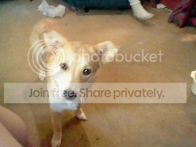 bandit3.jpg